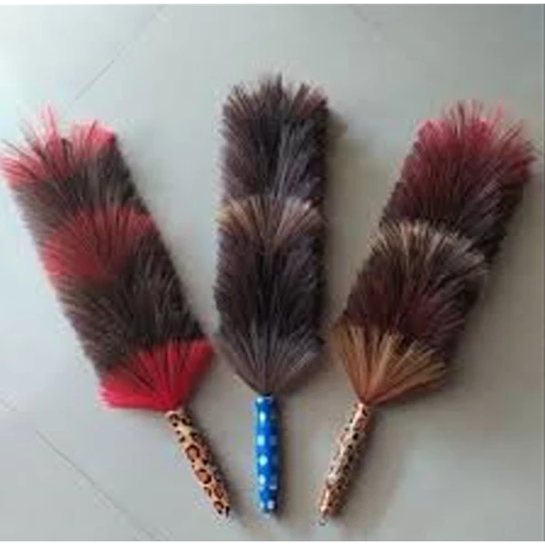 Kemoceng 